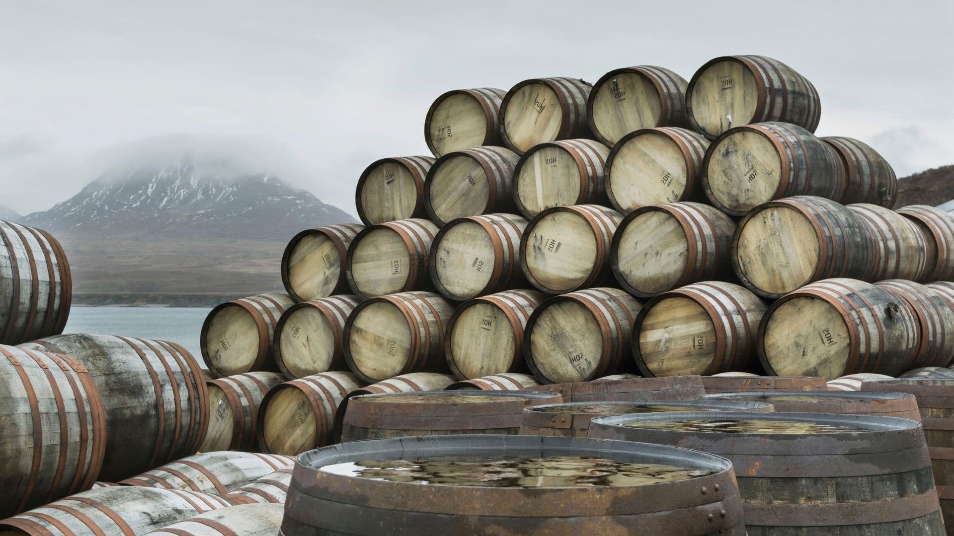whisky barrels by the sea