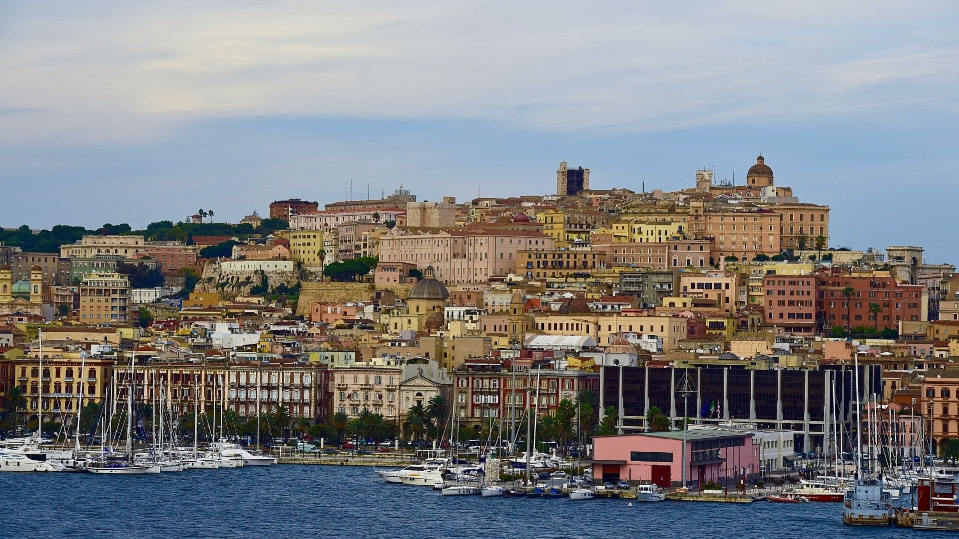 sardinia is a wild island with beautiful small cities and wild vines