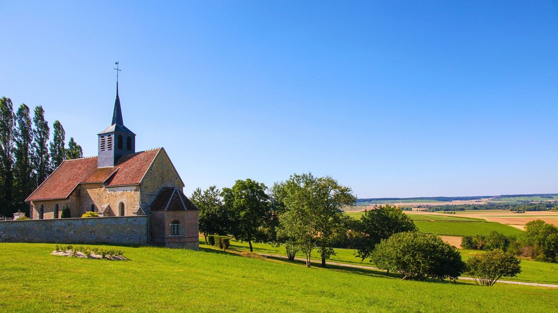 champagne region of france in the summer with rows of vines
