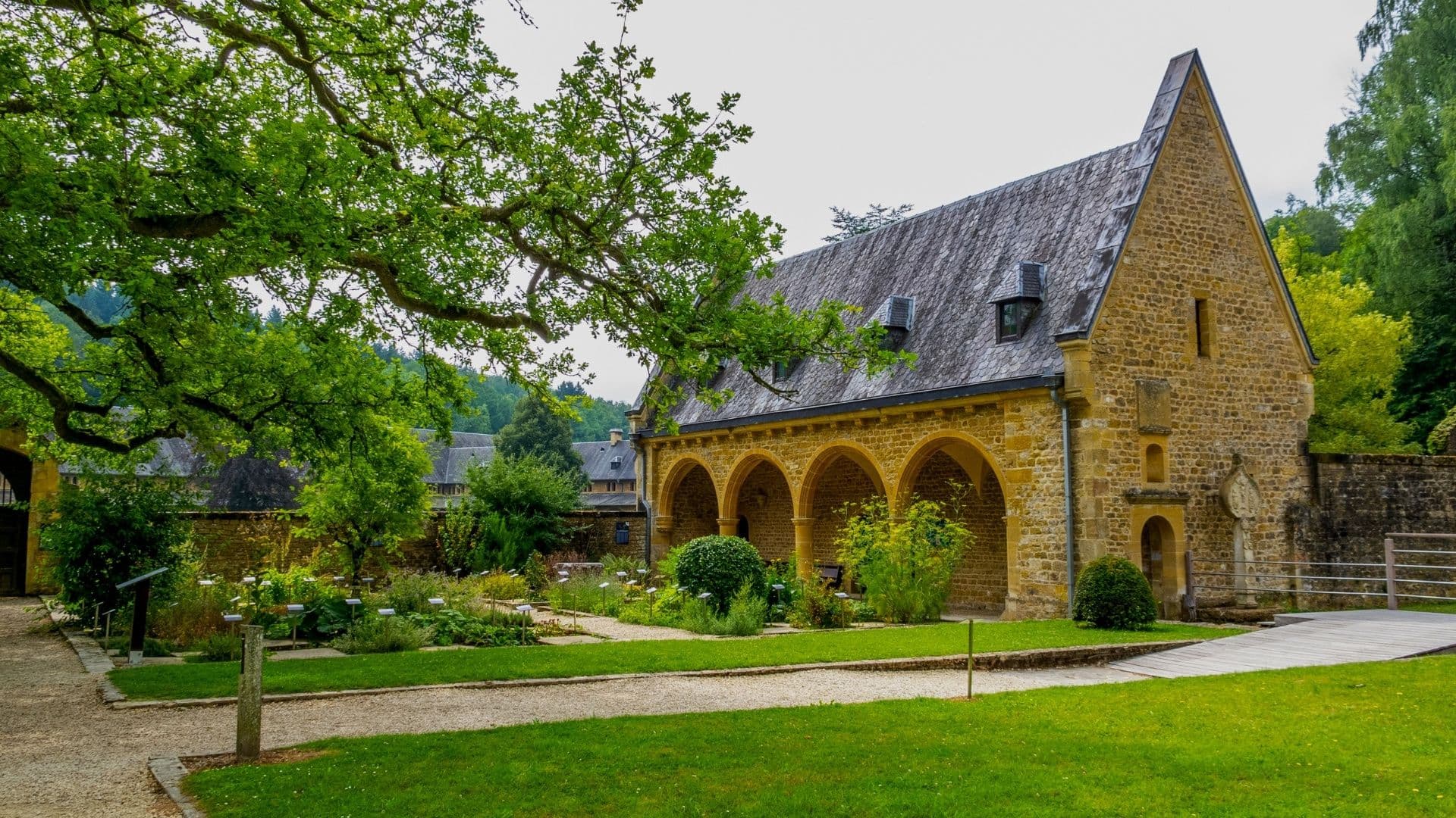 Monastic Pursuit of Brewing Perfection