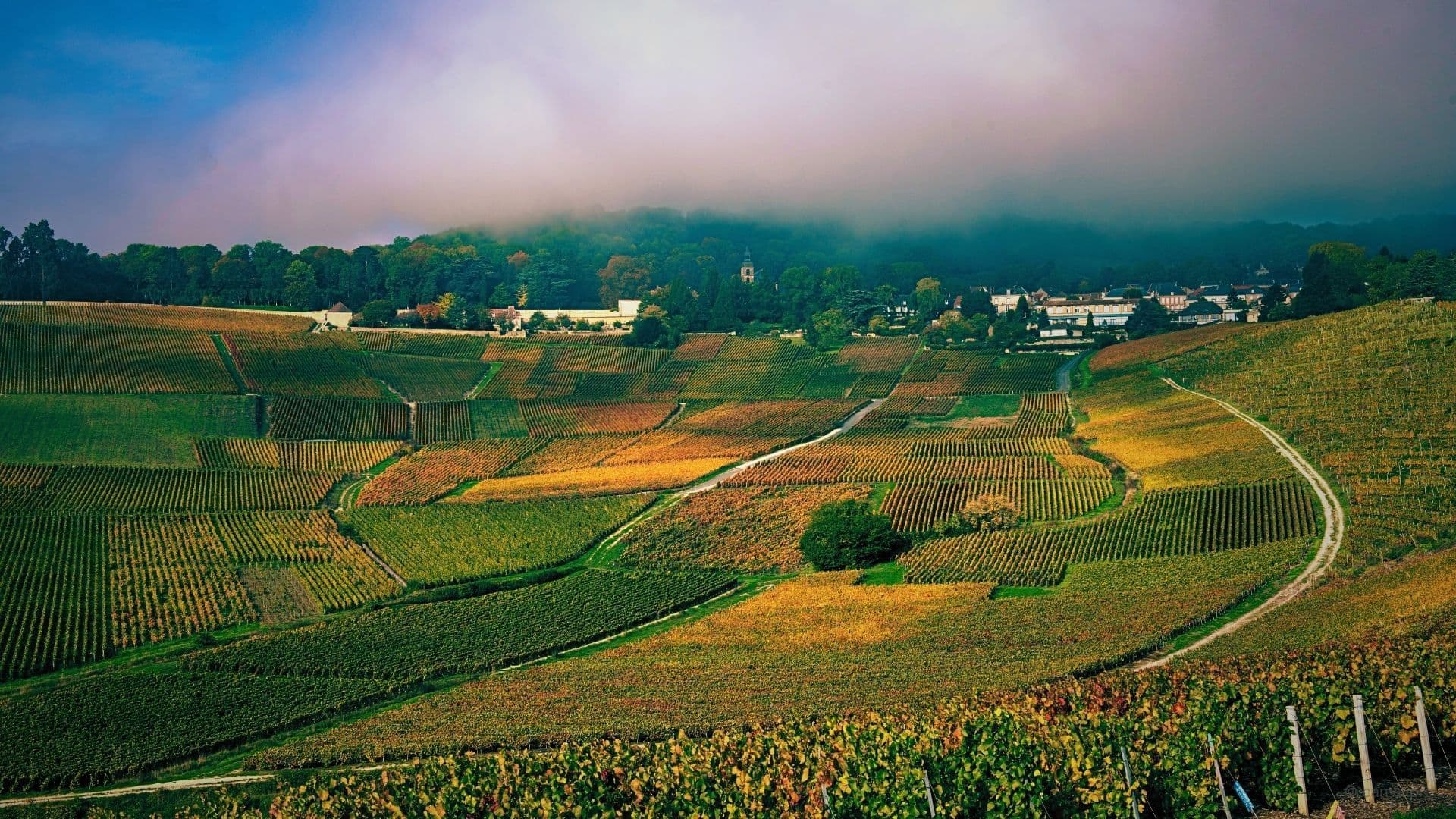 stormy day over the vineyards in france